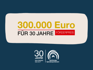 Grafik zum Förderpreis des Hamburger Spendenparlaments: 300.000 Euro für 30 Jahre soziales Engagement in Hamburg.